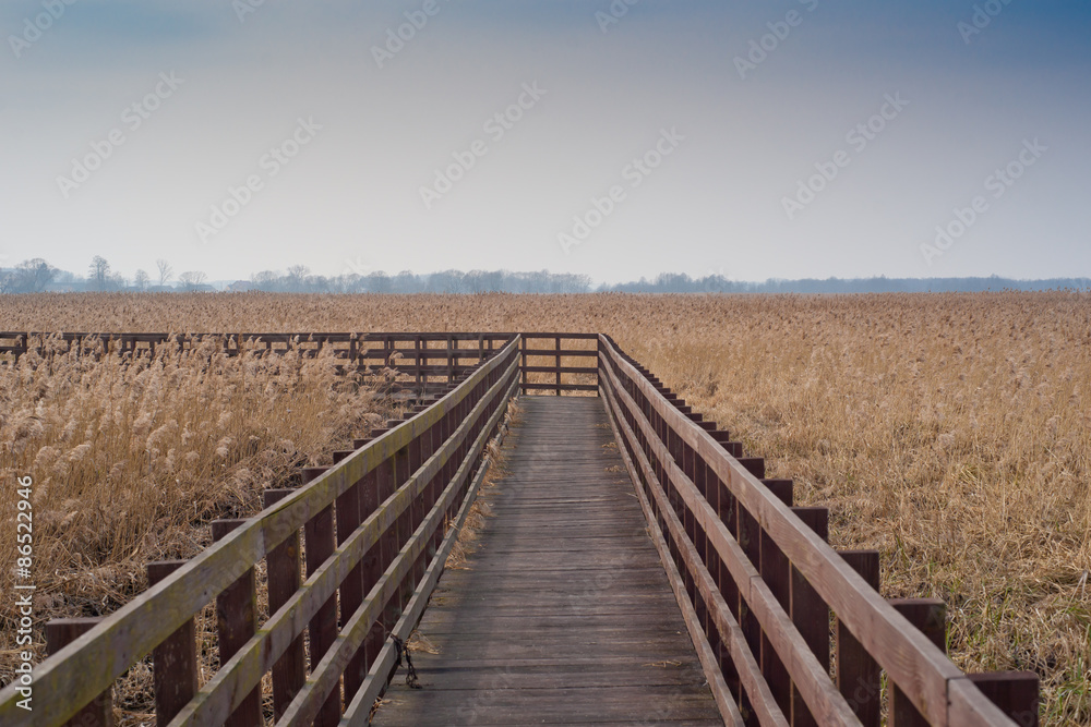 Wooden bridge on swamps