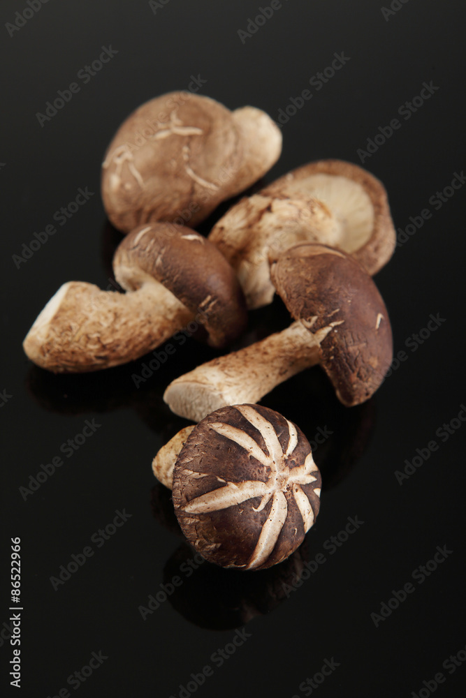 Shiitake Mushroom, Chinese mushroom Shiitake Mushroom, Chinese mushroom