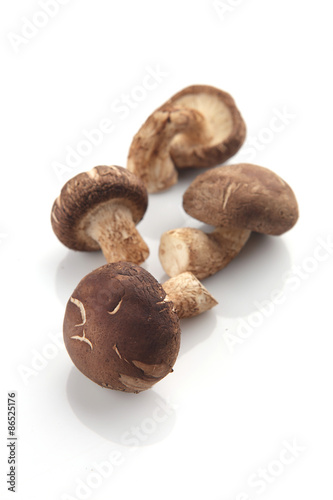 Shiitake Mushroom, Chinese mushroom