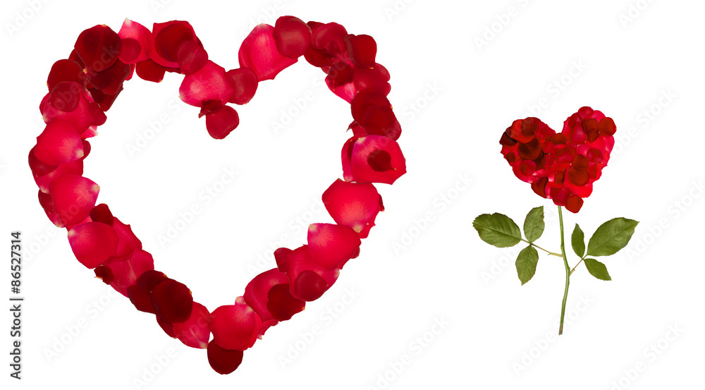 Valentine's Day heart of rose petals