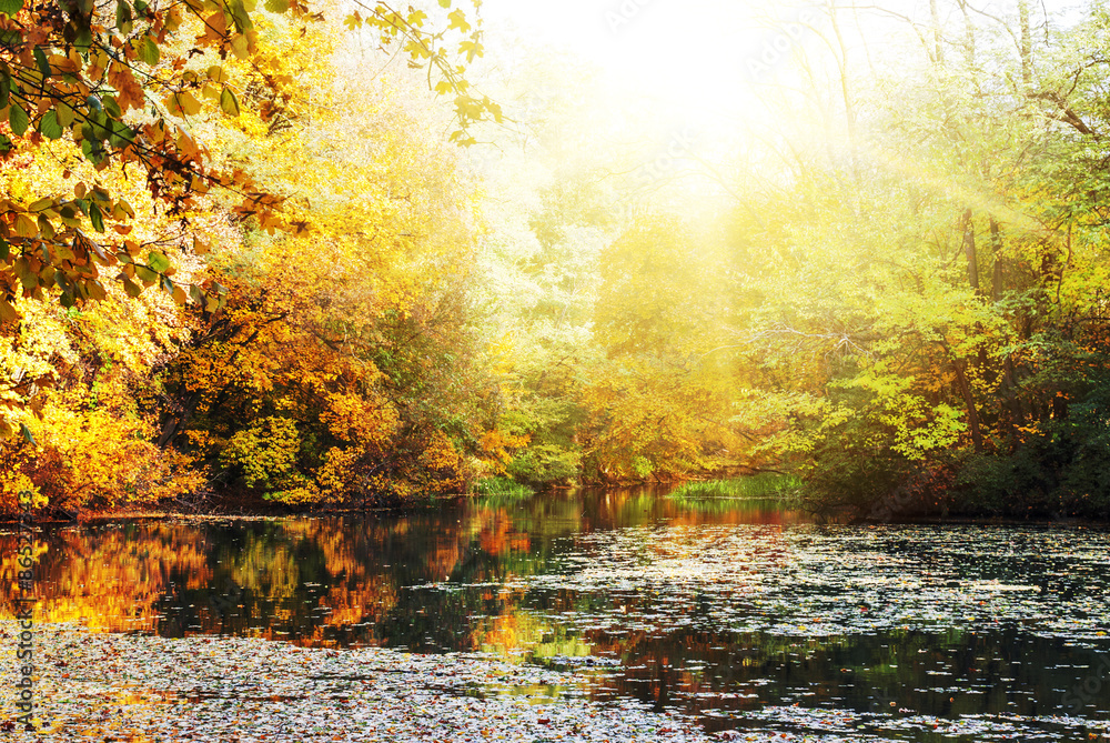 Colorful autumn sunny bright landscape Colorful autumn sunny bright landscape