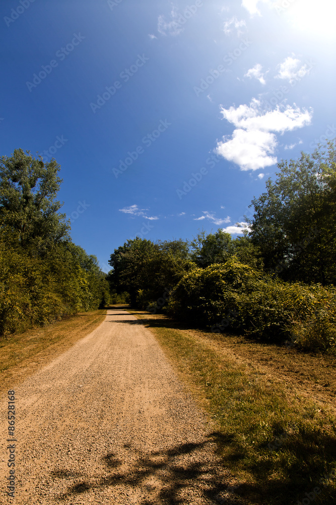 Fototapeta premium Weg