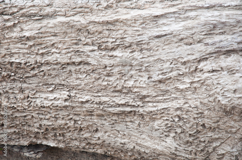 wood structure brown background wood structure brown background