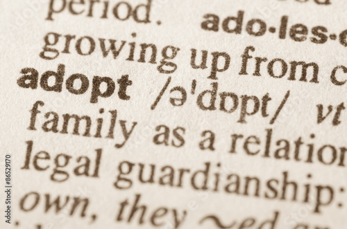 Dictionary definition of word adopt