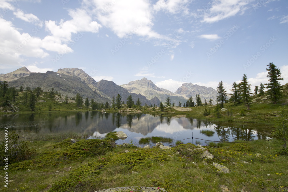 Fototapeta premium Riserva Naturale del Mont Avic