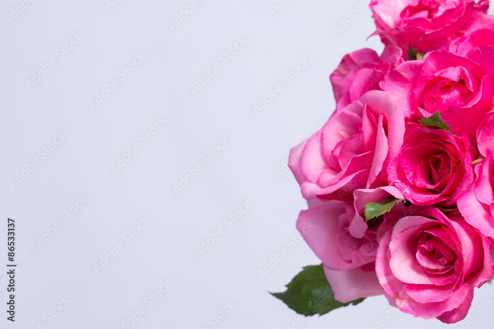 Background image of pink roses. Background image of pink roses.