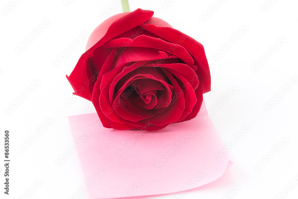 red rose with pink paper note