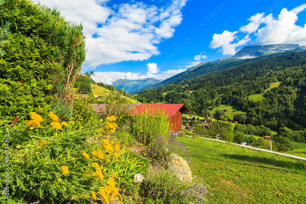 Fototapeta premium Swiss Valley