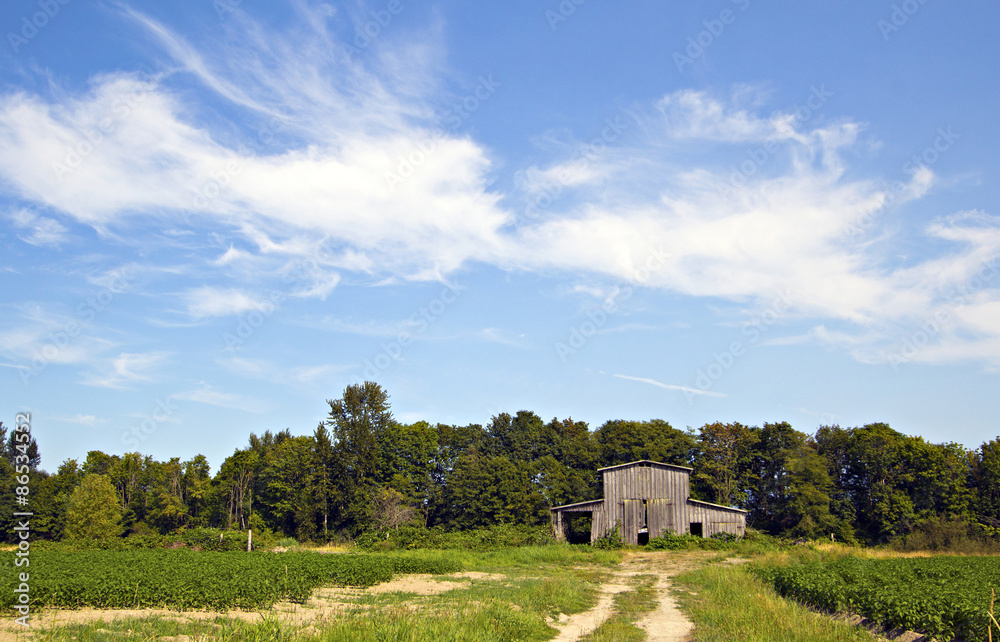 Old barn Old barn