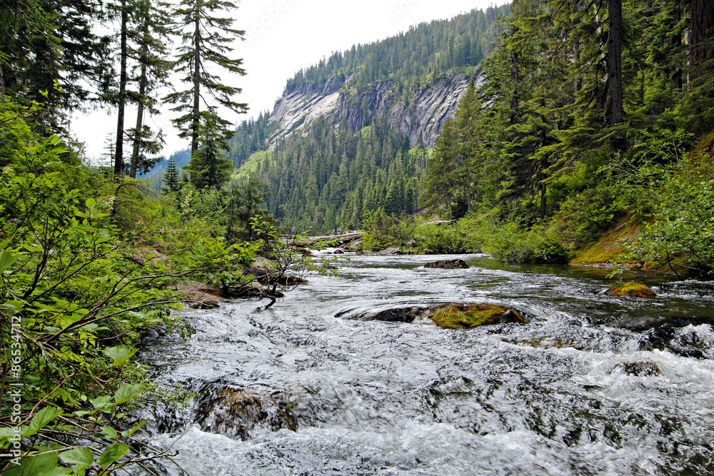 mountain stream mountain stream