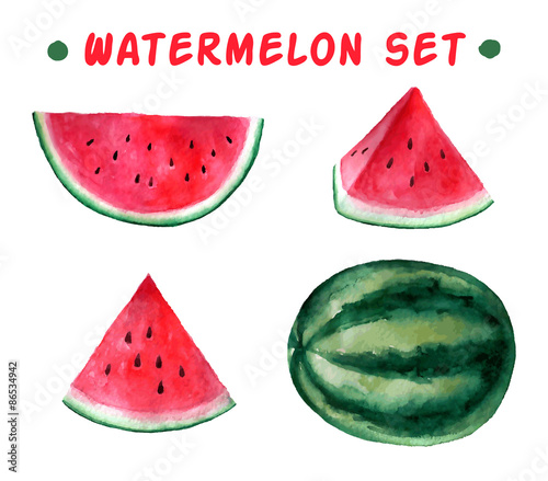 Vector watercolor hand drawn watermelon set.