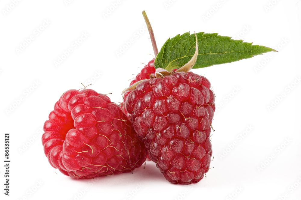 raspberry with green leaf on a white background raspberry with green leaf on a white background