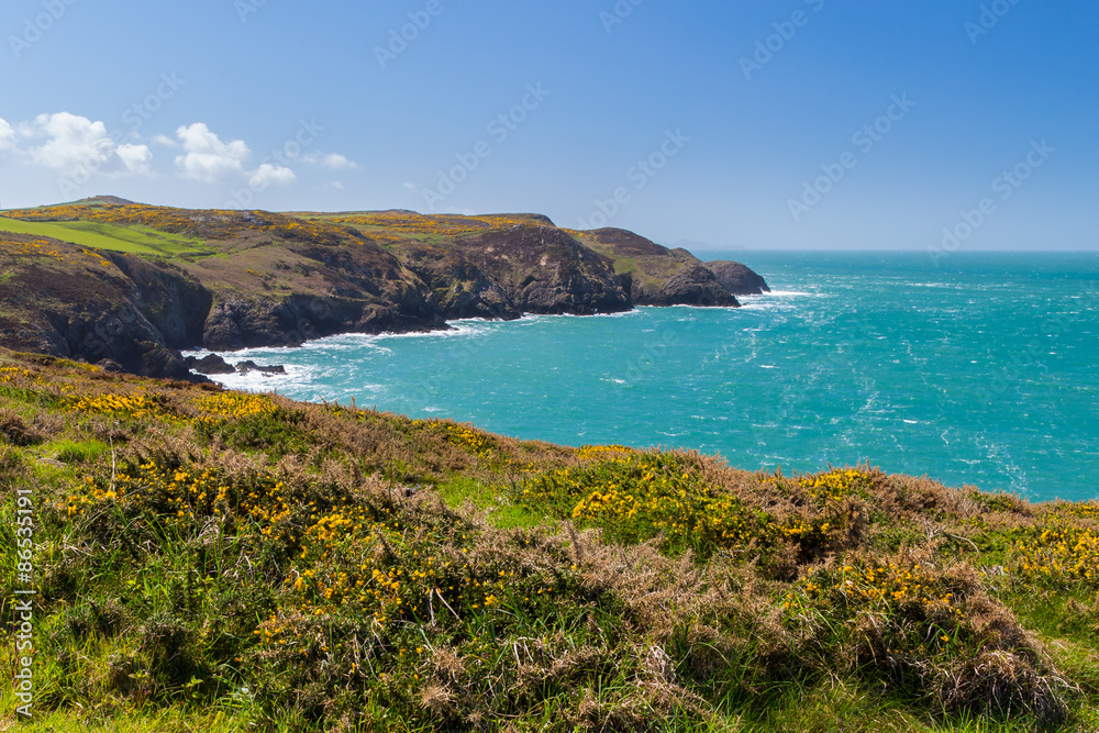 Fototapeta premium Strumble Head Wales