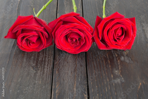 red rose on wood background