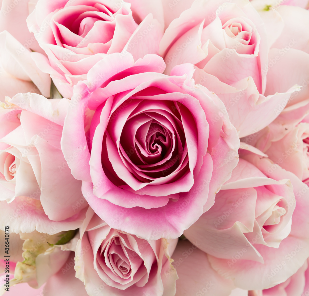 white and pink rose bouquet on white background white and pink rose bouquet on white background