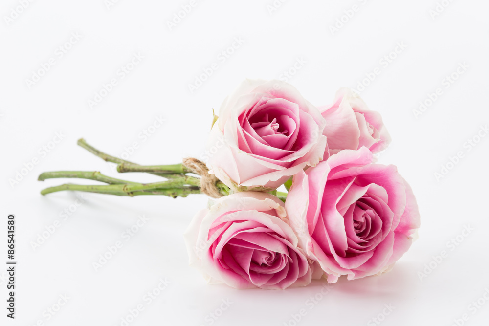 white and pink rose bouquet on white background white and pink rose bouquet on white background