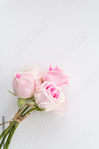 Wallpaper Mural white and pink rose bouquet on white background Torontodigital.ca