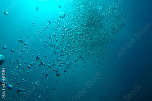 Underwater bubbles rise up towards the sun