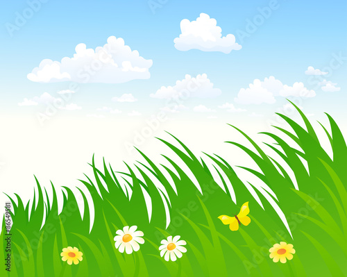 Sky and grass background