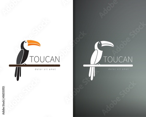 Vector toucan logo design template. Artistic bird silhouette. Creative concept logotype for your company. photo