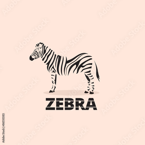Artistic stylized zebra icon. Silhouette wild animals. Creative art logo design. Vector illustration.