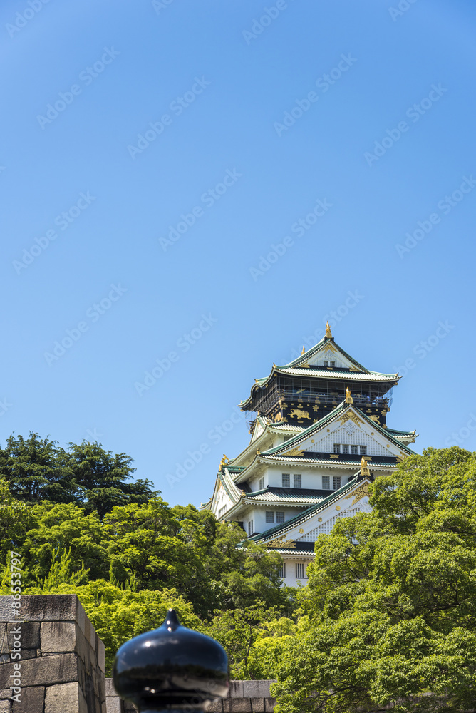 Obraz premium Osaka Castle in Osaka, Japan.