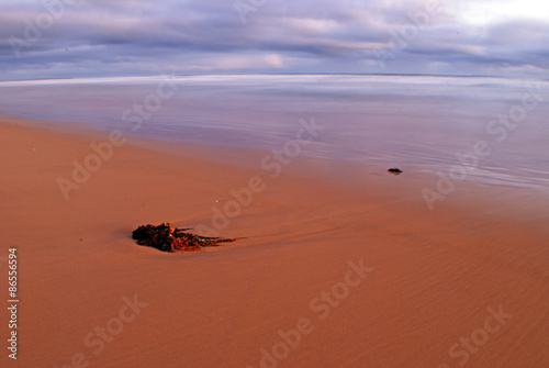 beach scene with cloudy overcast shy  ocean and sandy beach