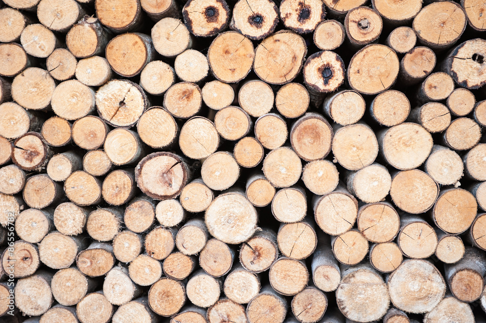 Texture of wooden in seamless wallpaper Texture of wooden in seamless wallpaper
