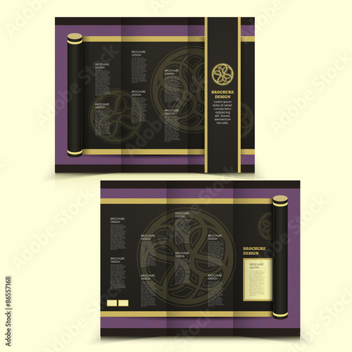 vector brochure layout design template