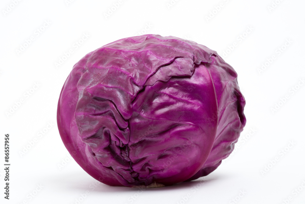 紫キャベツ 紫キャベツ
