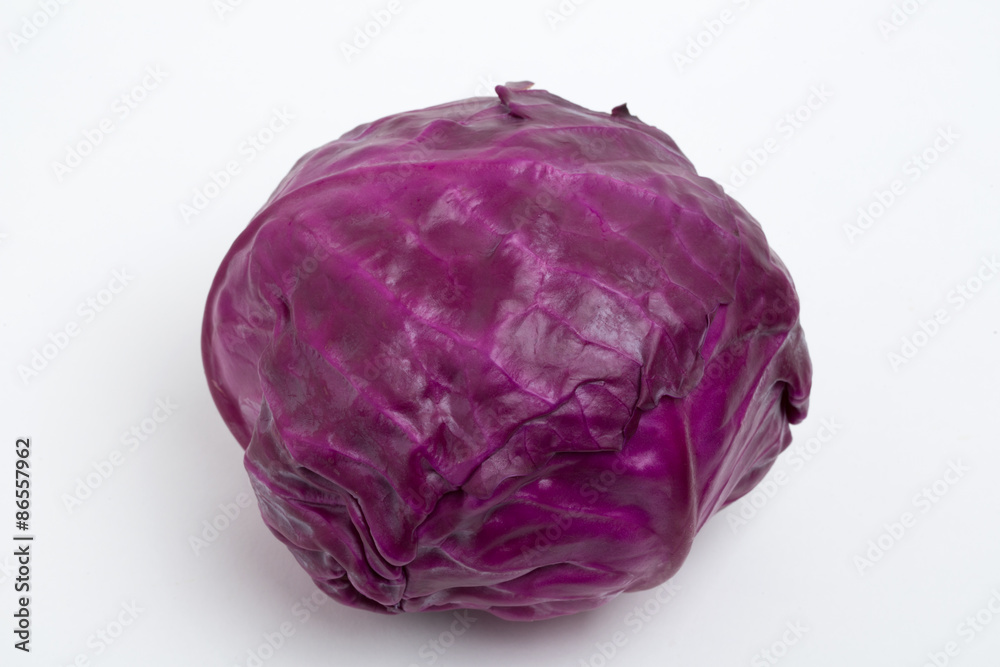 紫キャベツ 紫キャベツ