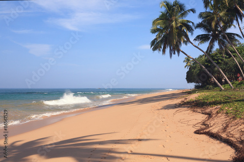 Morning on the beach with palm trees and shadows  