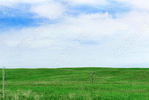 Green field background © pavel_shelkovenko