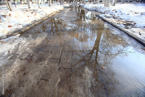 city park spring thaw America photo