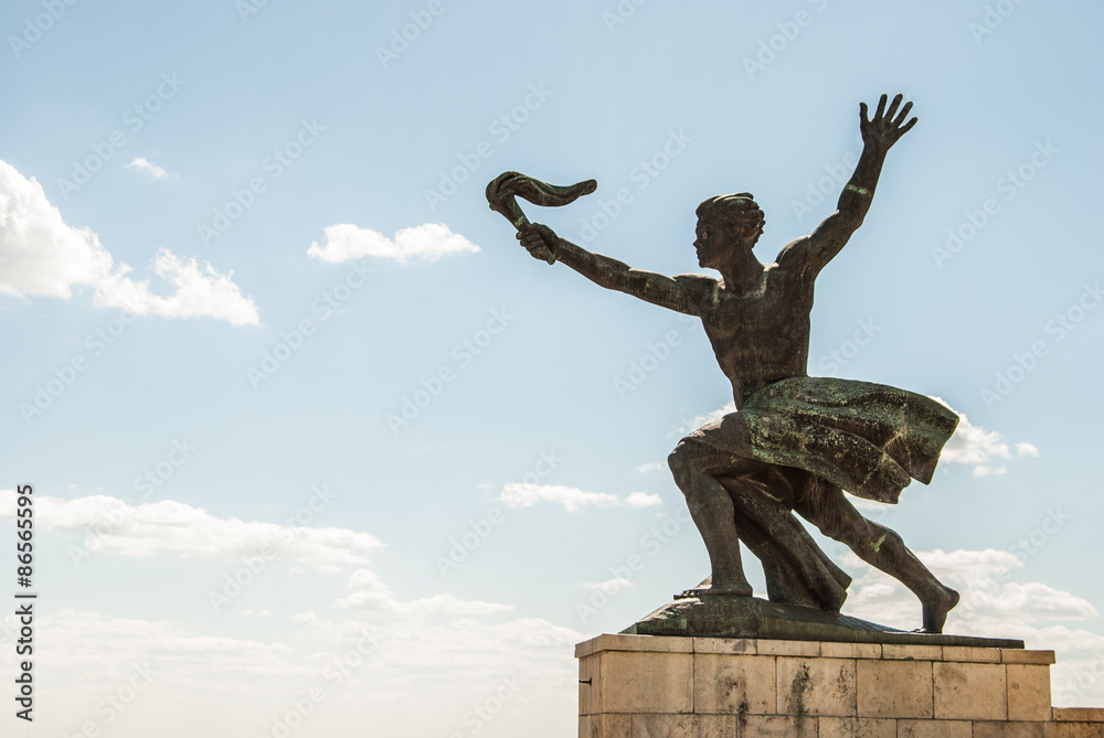 Fototapeta premium liberty statue of Budapest