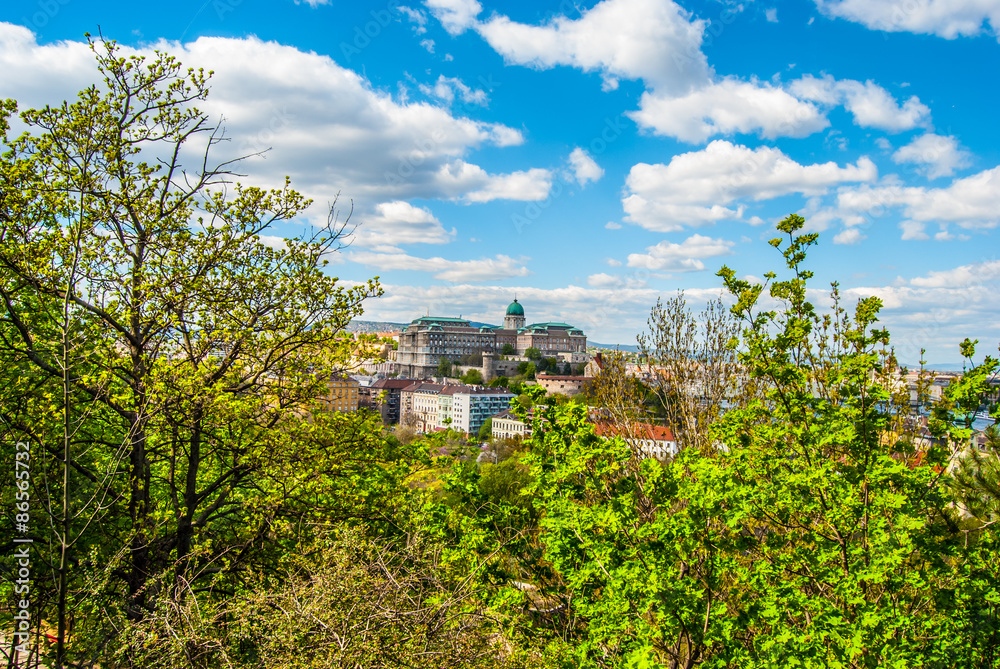 Buda Castle in Budapest