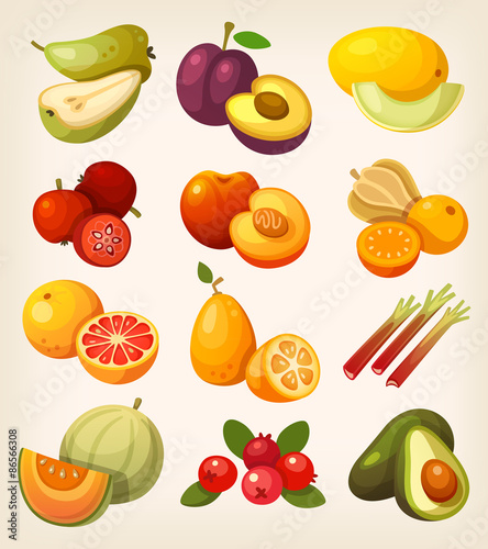 Exotic tropical, garden and field fruit. Icons for labels and packages or for learning kinds of fruit.