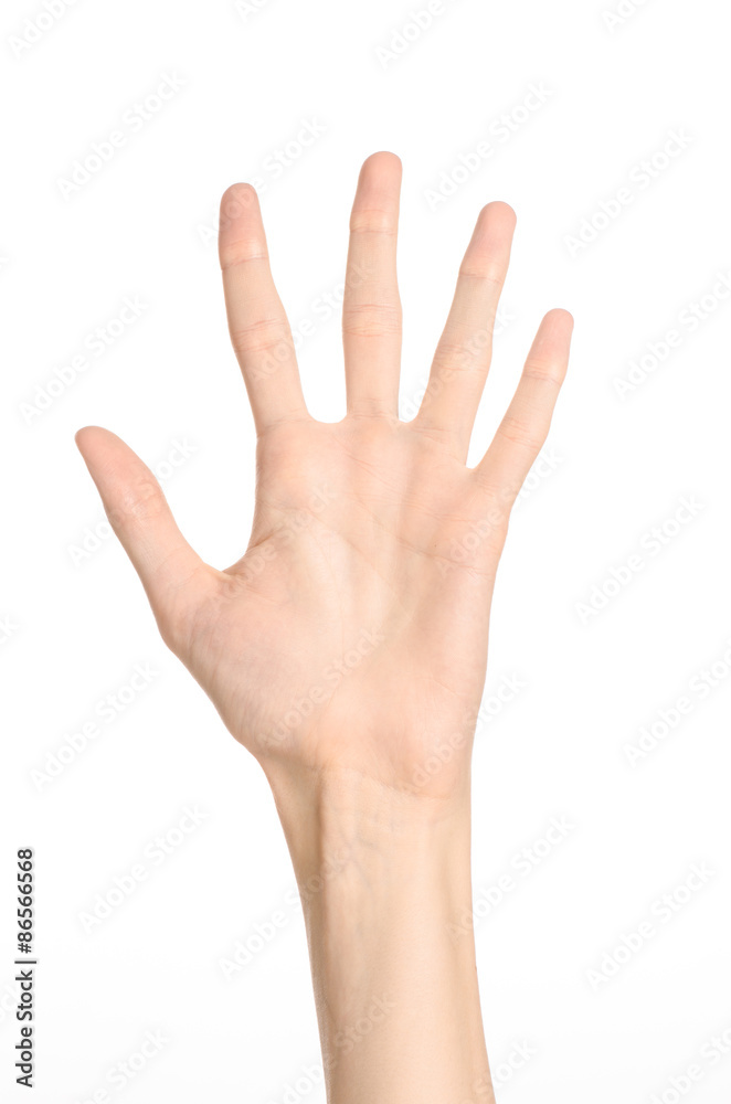 Hand gestures theme: the human hand shows gestures isolated on white background in studio Hand gestures theme: the human hand shows gestures isolated on white background in studio