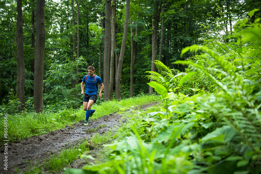 Fototapeta premium middle age trail runner training in the woods on the muddy track