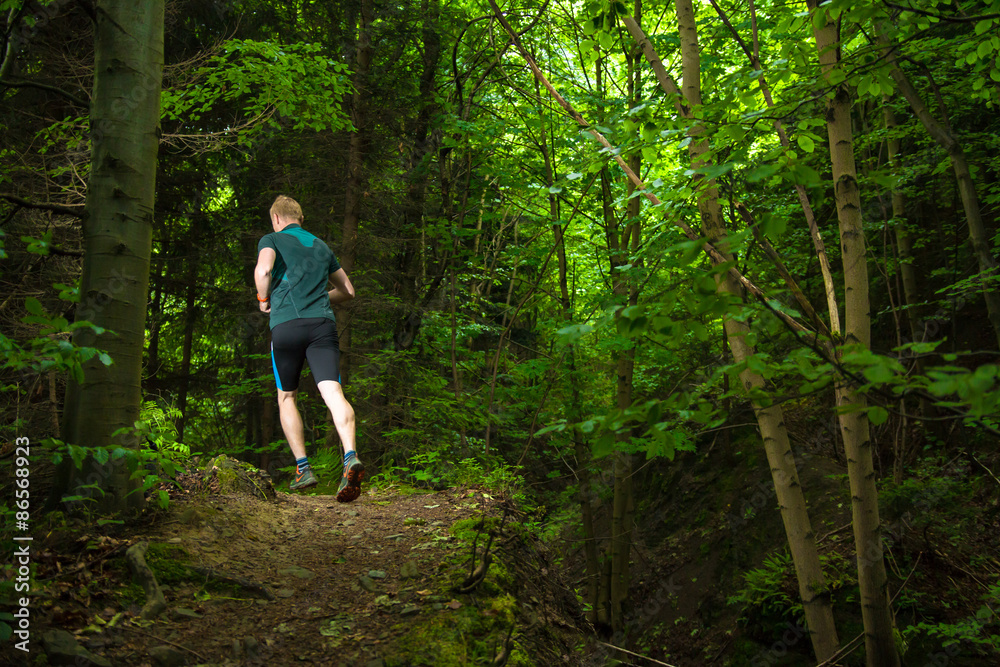 male trail runner training on the forest track in the evening male trail runner training on the forest track in the evening