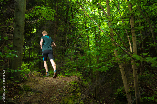 male trail runner training on the forest track in the evening
