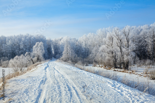 Winter landscape © Dmitry Naumov