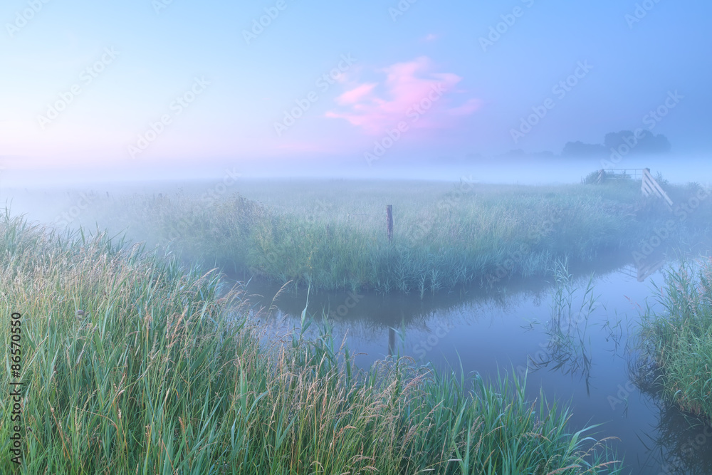 Dutch farmland with river in foggy morning