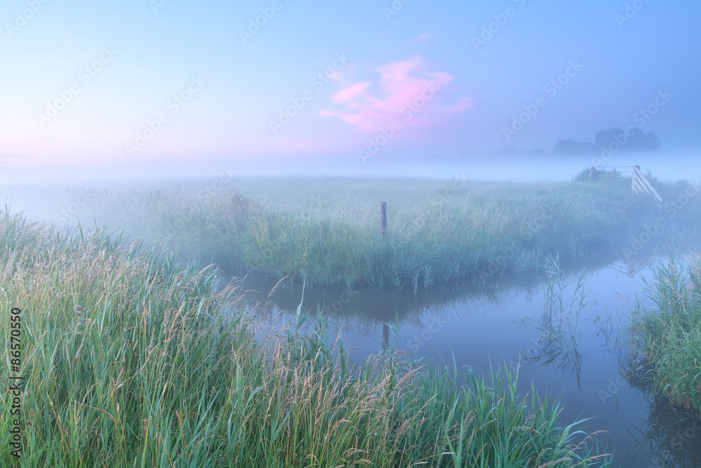 Dutch farmland with river in foggy morning Dutch farmland with river in foggy morning