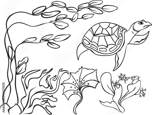 Sketch natatorial turtle in underwater world