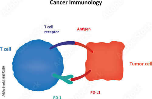 Cancer Immunology photo