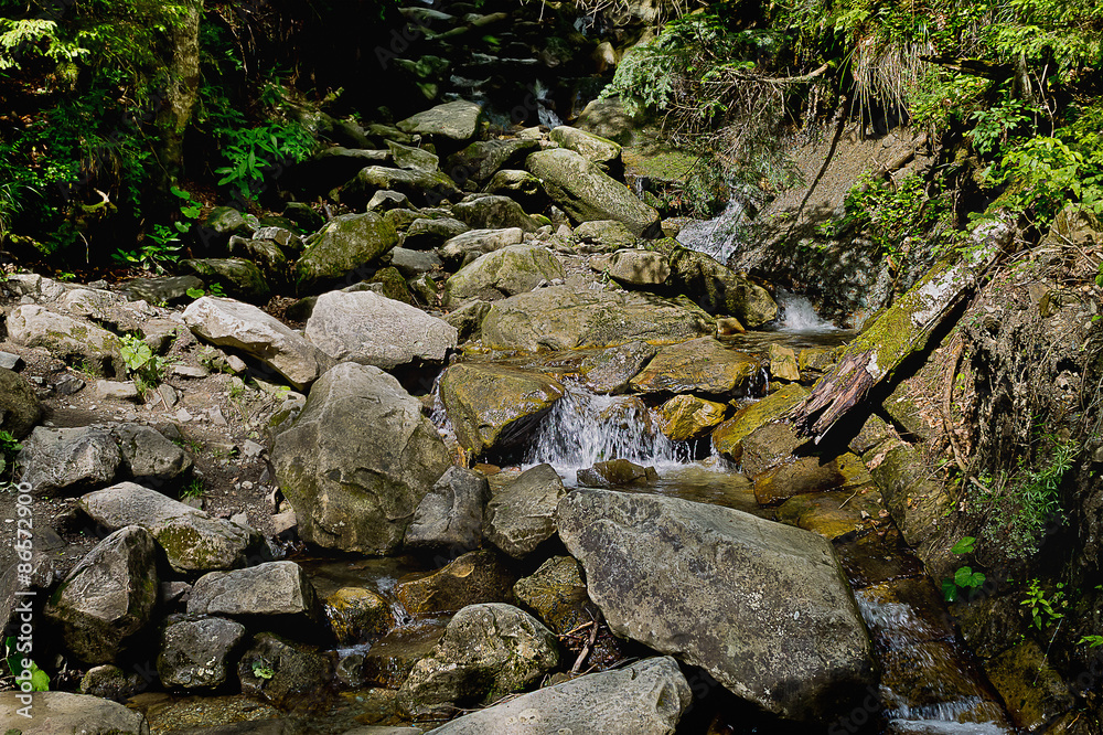 mountain river Zhenets in the Ukrainian Carpathians mountain river Zhenets in the Ukrainian Carpathians