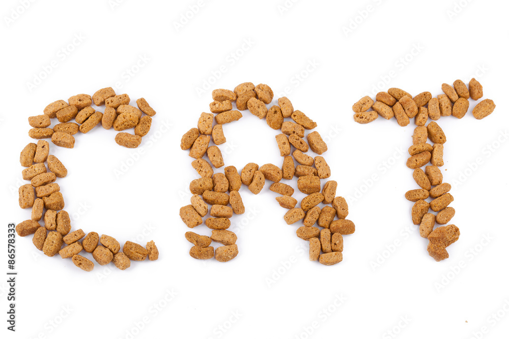 Obraz premium Food for cat