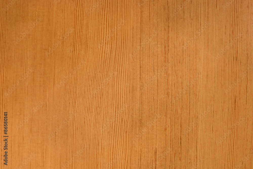 Texture of wood background closeup Texture of wood background closeup