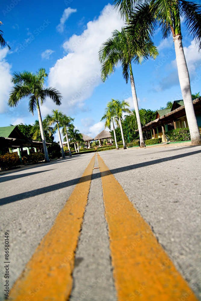 Fototapeta premium Yellow dividing lines on road
